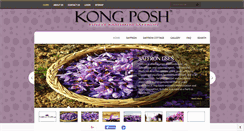 Desktop Screenshot of kong-posh.com