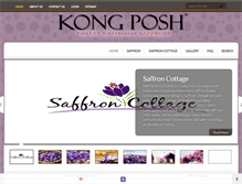 Tablet Screenshot of kong-posh.com